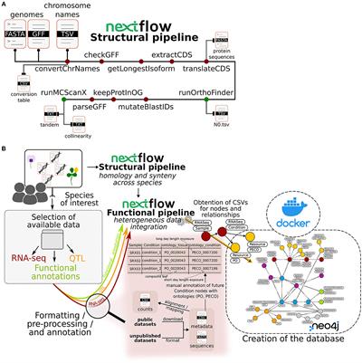 Development of a knowledge graph framework to ease and empower translational approaches in plant research: a use-case on grain legumes